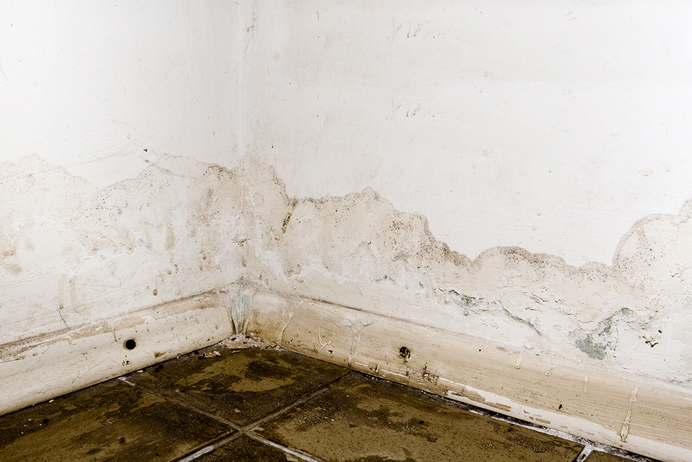 5 Causes of Water Damage - Part 2